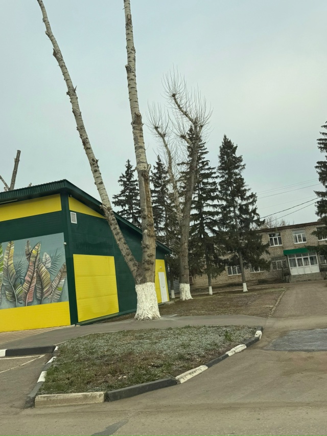 Как вы думаете,красиво смотрится?😭
Фото: Чёрно-белый ?...