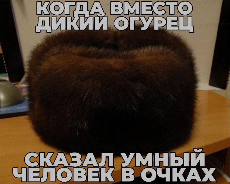 Ночная подборочка
Спать, режим