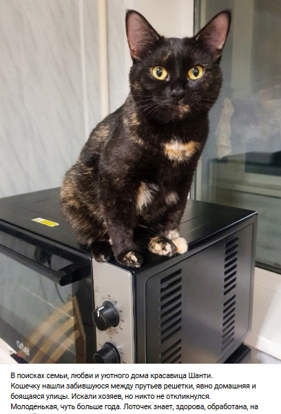 Пост добра. Распространите, пожалуйста.