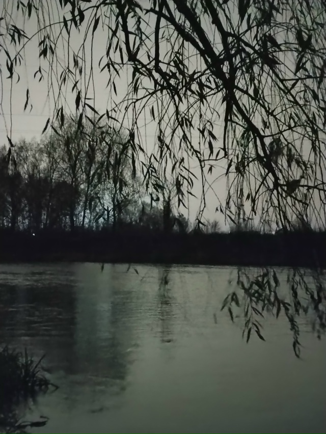 Доброй ночи 💤
📸Михаил Никонов