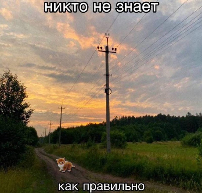 Утренняя подборочка