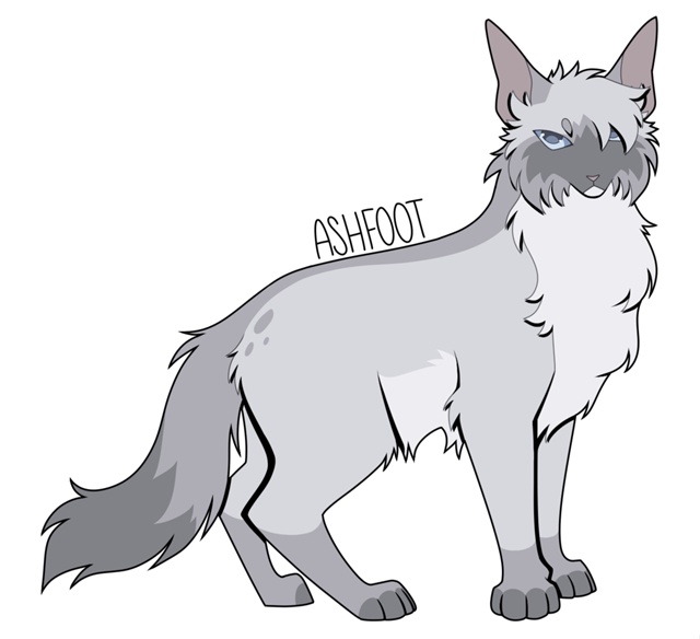 Хмуролика и Колченогий
© skyperch
#KV_ZZ_ART