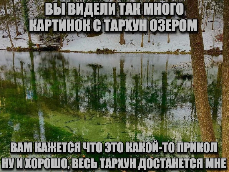 Ночная подборочка
Выходные, не спим