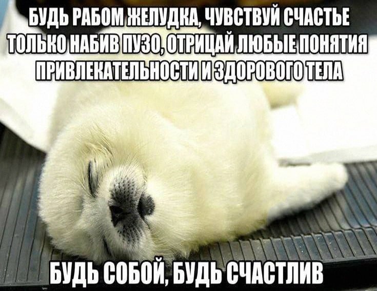 Утренняя подборочка