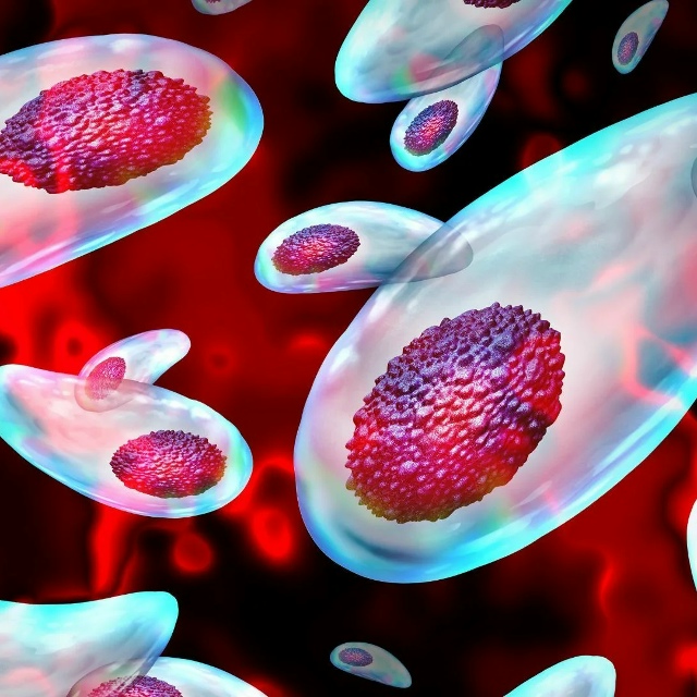 Учёные установили связь между содержанием кошек и пов?...