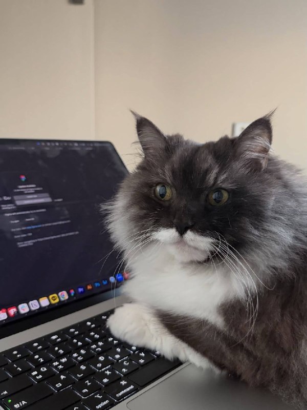 А как рабкотать?? У меня же лапке!!