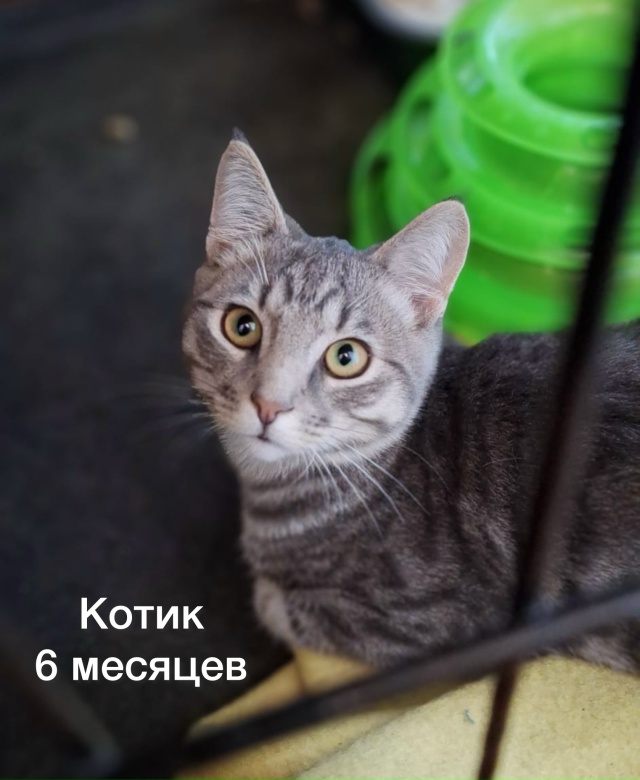 К ПРОЧТЕНИЮ КАЖДОМУ ЖИТЕЛЮ НАШЕГО ГОРОДА‼️
Забота о ?...