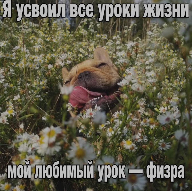 Ночная подборочка
Выходные, не спим