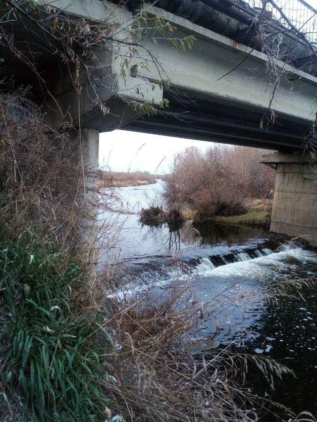 Немного позитива в ленту.На снимках,октябрь 2025 года,на ...