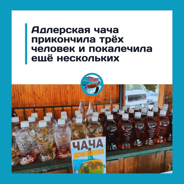 Адлерская чача стала причиной гибели трёх человек и тр...