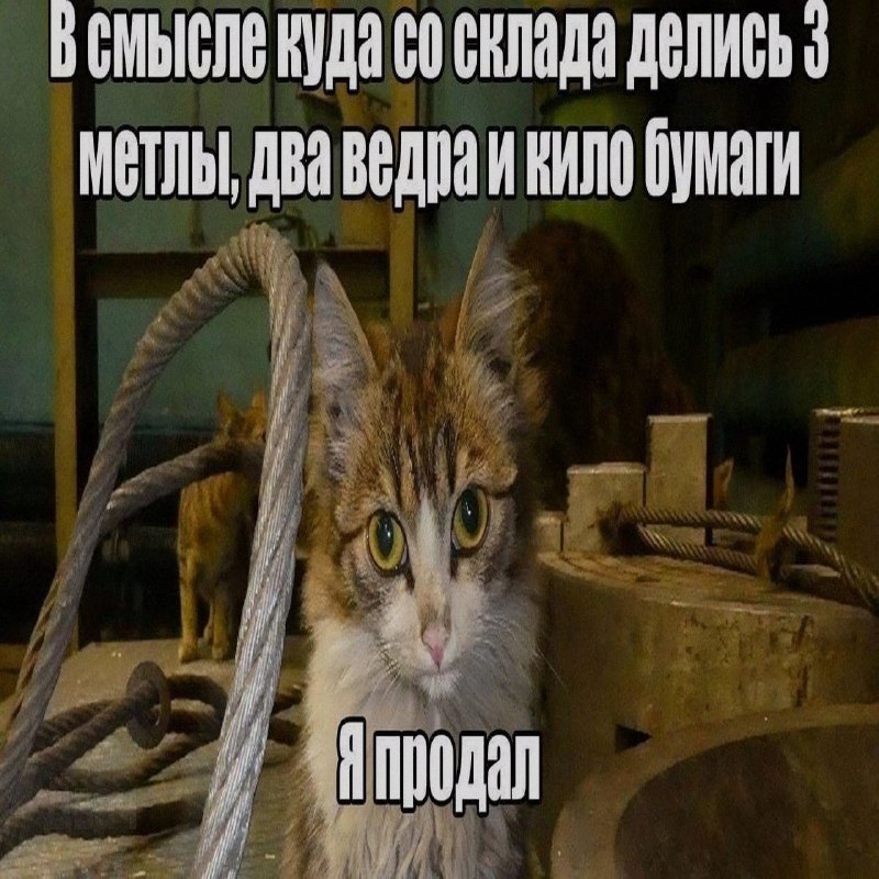Ночная подборочка
Спать, режим