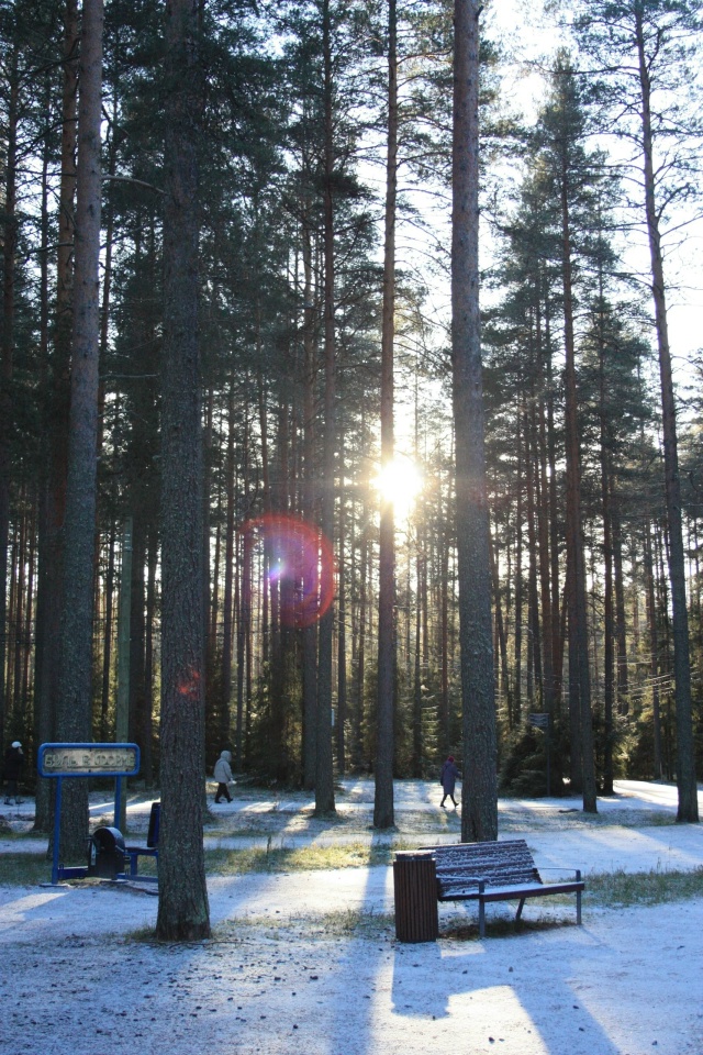 🧣Автор: [club228609867|Мир в объективе]