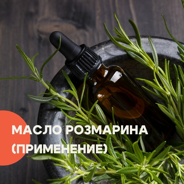 Розмариновое масло — универсальное средство, которое ...