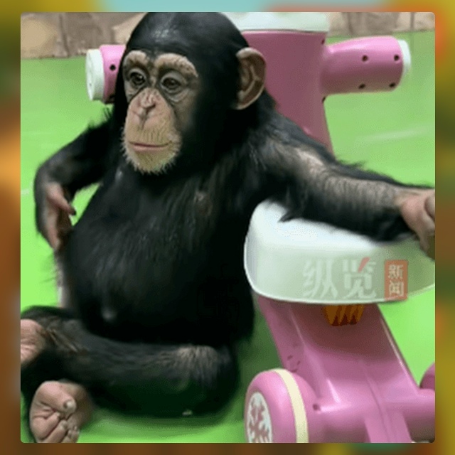 Безумные приколы
Зависимость от коротких видеоролико?...