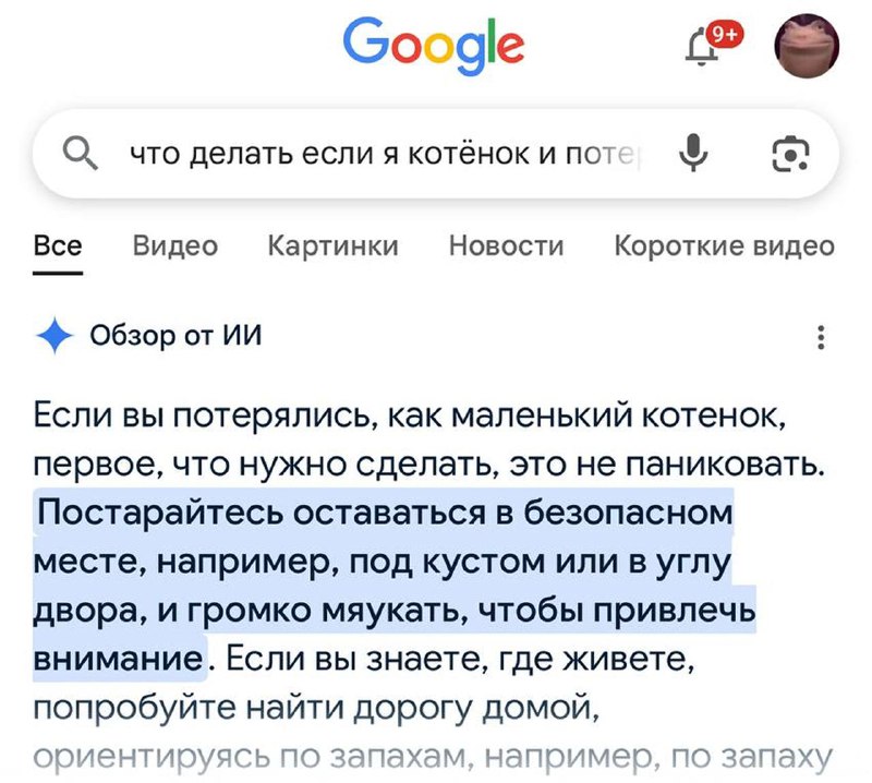 ИИ помогает даже маленьким котятам: юзер представился потерявшимся котенком и обратился к нейронке G