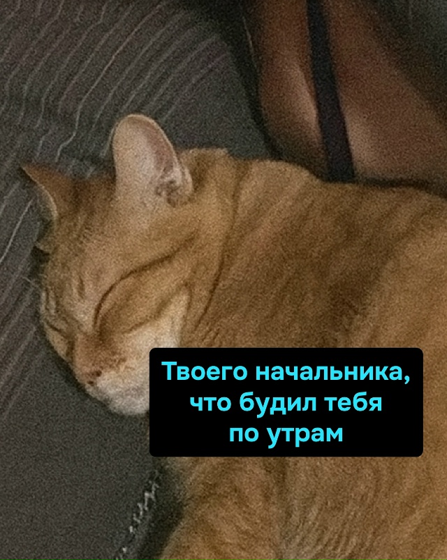 Утренний будильник был устранён. Миссия выполнена. Спи...