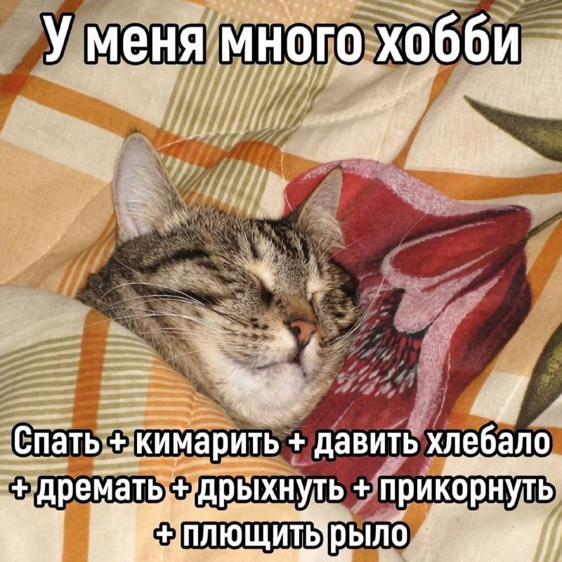 Утренняя подборочка