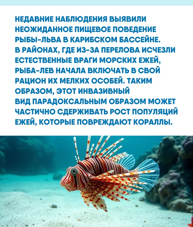 Экзотическая внешность рыбы-льва скрывает сложную эко...