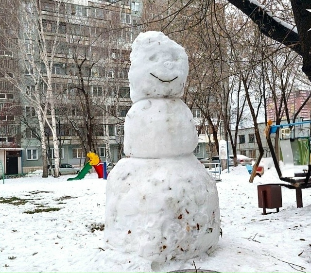 Зимниe зaбaвы вo двopaх Ηoвocибиpcкa ☃️