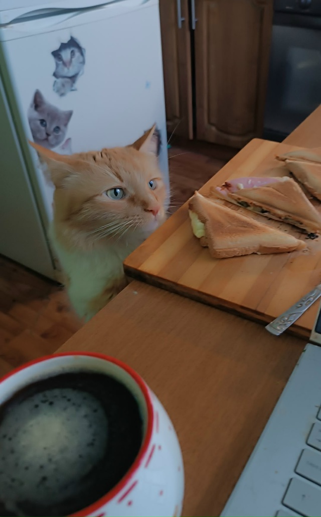 Персия. Бутербродик???? Кофе????? Это мне???