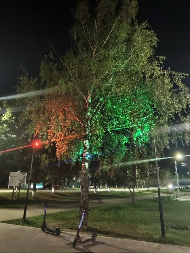 🖤 Ковровская ночь