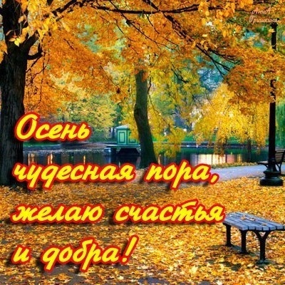 Золотая 🍂🍁🍃