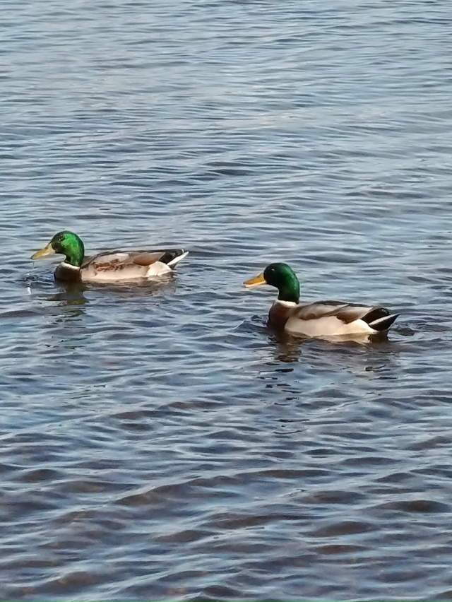 Чкаловск, солнечный день.05.11.25
