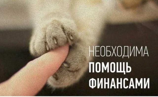 🆘🆘🆘🆘🆘🆘🆘🆘🆘🆘
. НАМ СРОЧНО НУЖНА ВАША ПОМОЩЬ
. ...