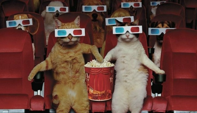 🚨 Бдительность на максимум: Минцифры хочет заставить ...