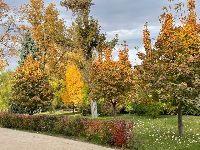 Снова осень 🍂 за окном
📸