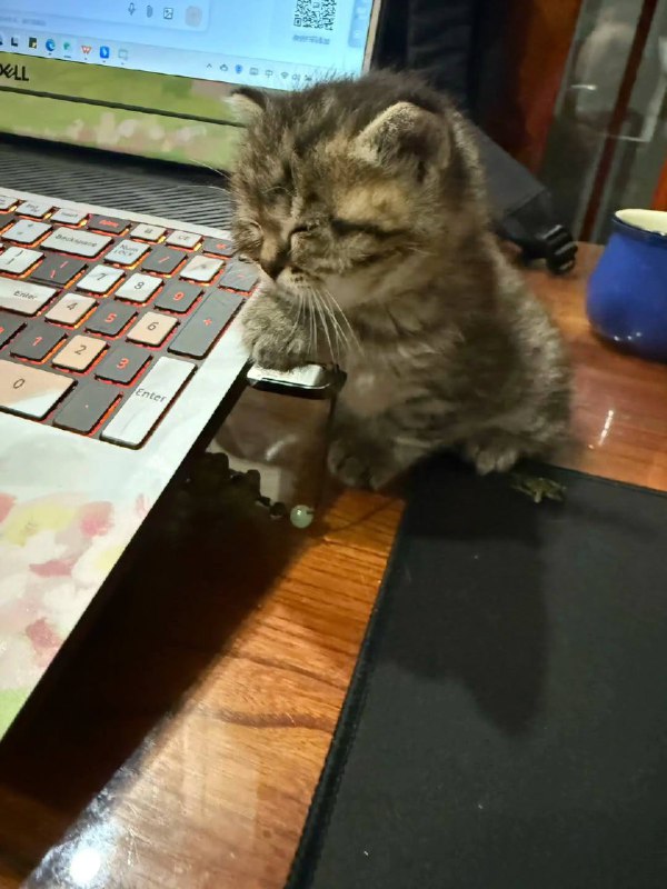 Можно потише, пожавусто?? Я сейчас хардворкаю