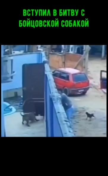 Мужик еще и пожалел ее, а мог придушить и дело с концом