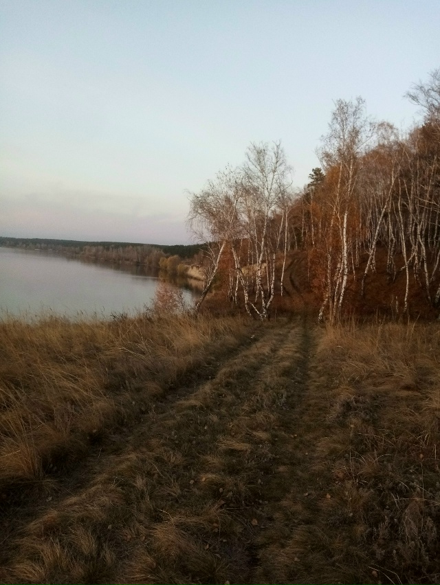 Немного позитива в ленту.На снимках-подборка №2 ,краси?...