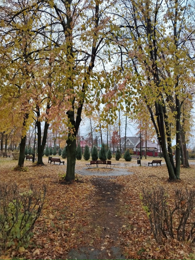 А дождь идёт а дождь идёт...