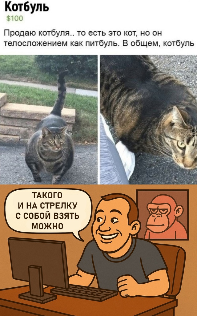 Безумные приколы
Вместо собаки