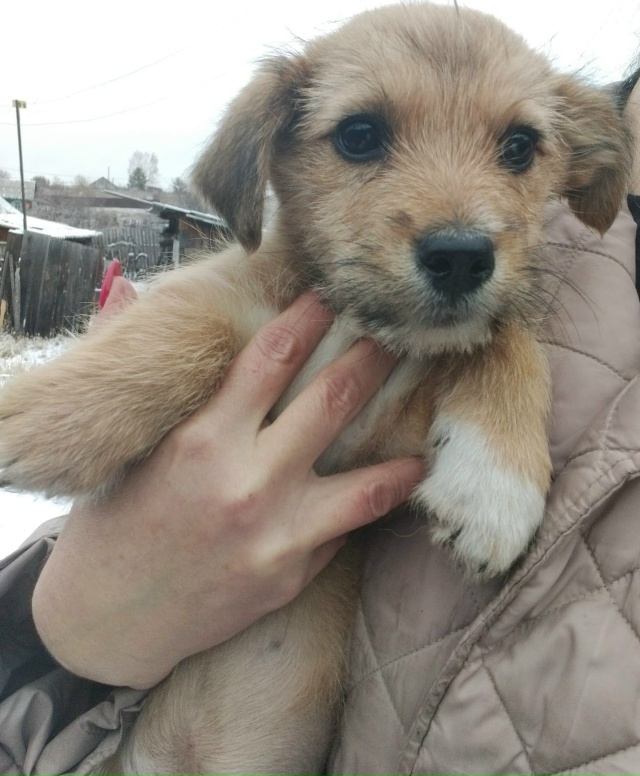 Две очаровательные девочки ждут свою семью.
Устали от ?...