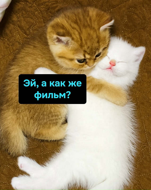 Выбор фильма — испытание, финал всегда один: обнимашки...