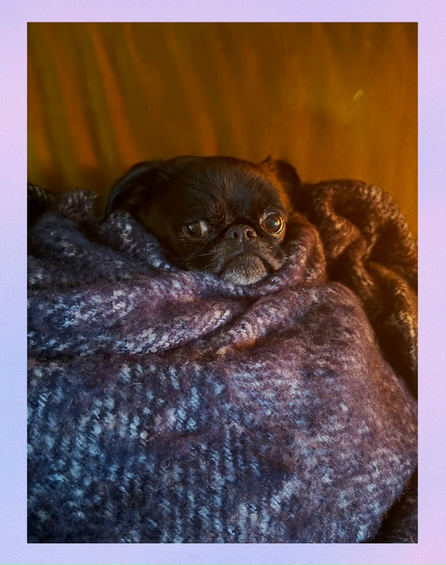 Я, когда мне предлагают пойти погулять в такой дубак: