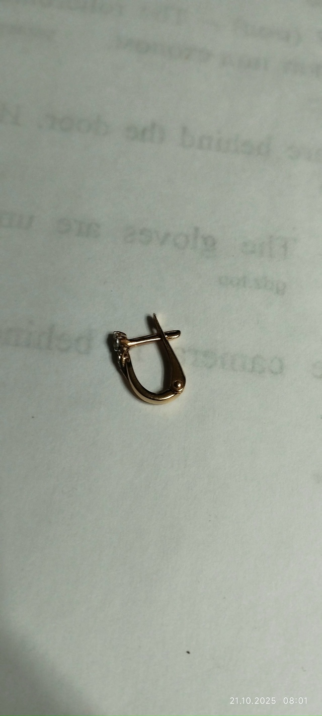 Найдена детская сережка на ул. Работниц, верну если у В?...