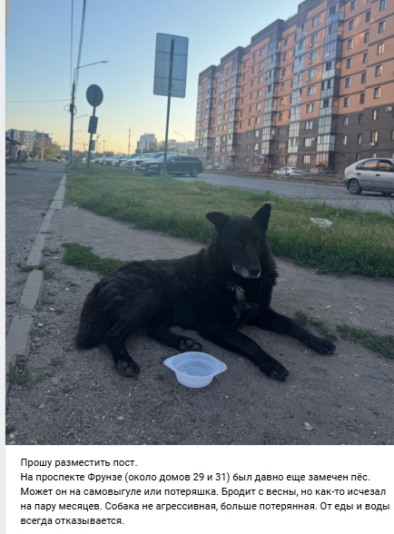 Пост добра. Распространите, пожалуйста.