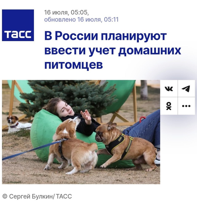 ❗️В России запустят реестр домашних питомцев: всех вл...