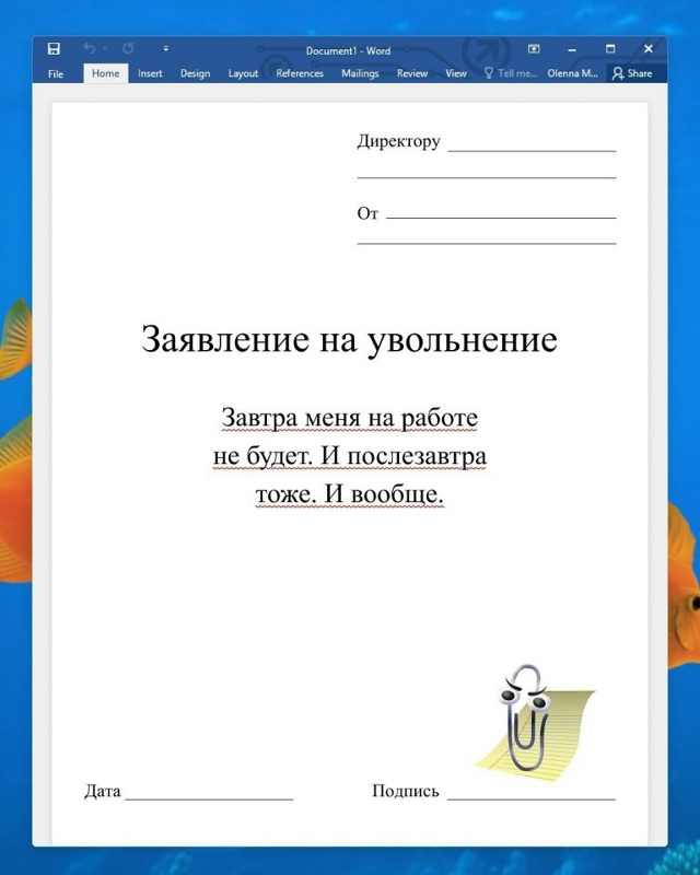 Заявление на увольнение😅