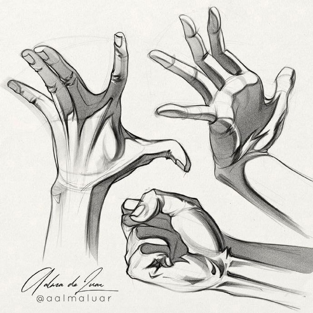 Sketch
Tutorial