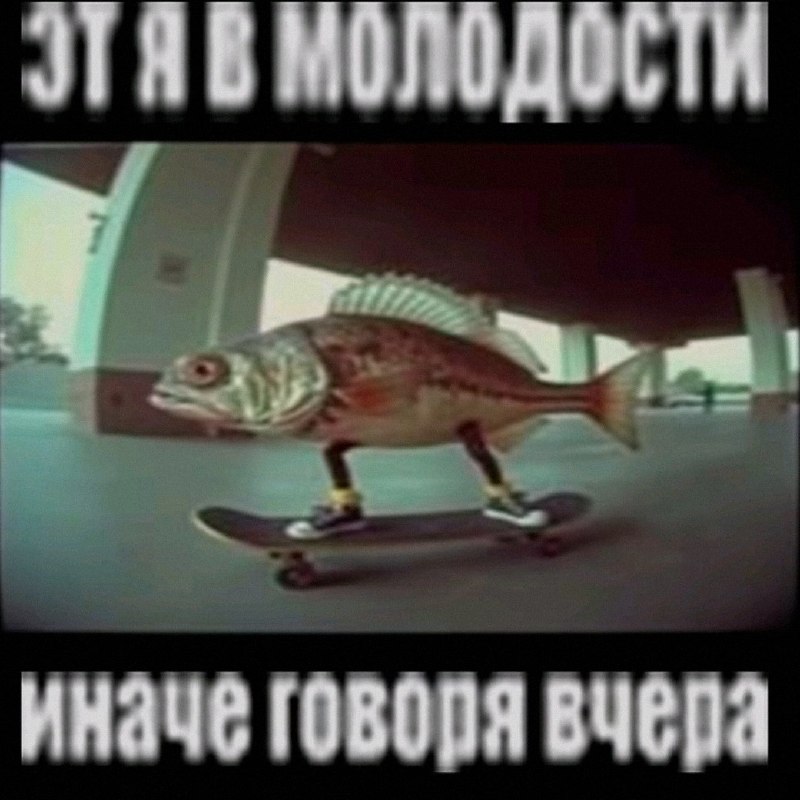Ночная подборочка
Выходные, не спим