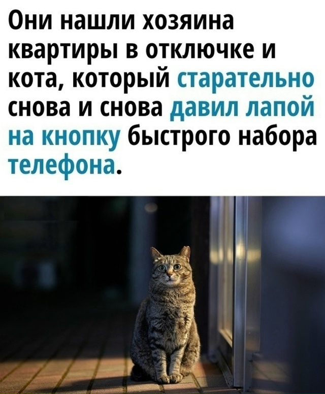 Тренировки были не напрасны