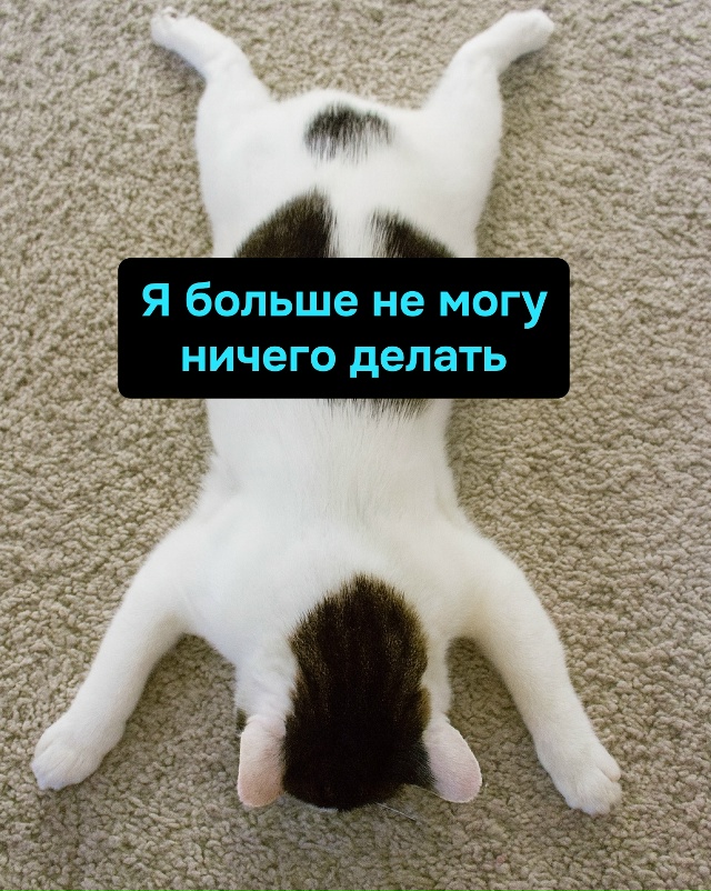 Великая усталость приходит не от дел, а от осознания их...