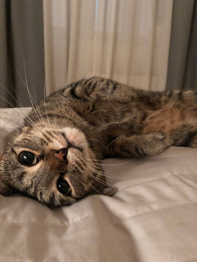 Та самая брюнетка из группы «Стрелки» Гера и первый ко?...