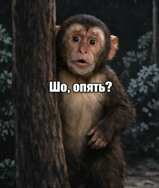 В Подмосковье госпитализировали пациентов с подозрением на оспу обезьян.
В Одинцовском районе мужч