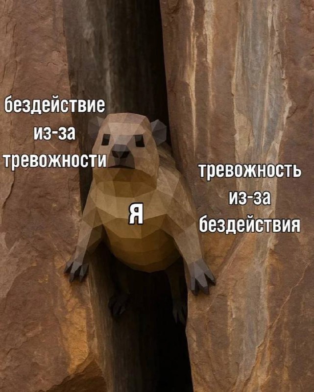 мы?