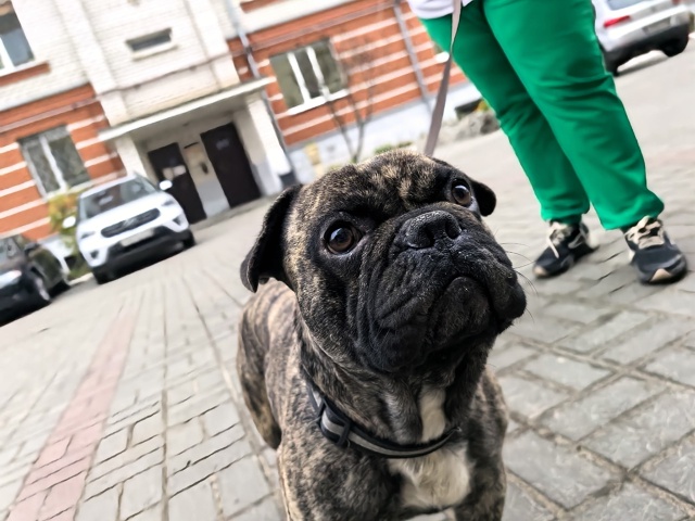 Разместите пожалуйста!
НАЙДЕН ПЁС В ОШЕЙНИКЕ!🆘
На пер?...